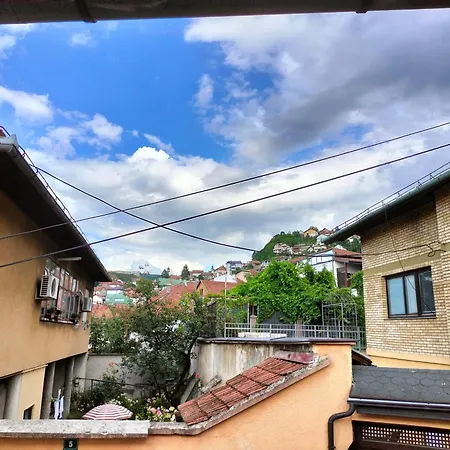 Exotic Nature Albergue *