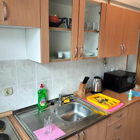 Hostel Exotic Nature *